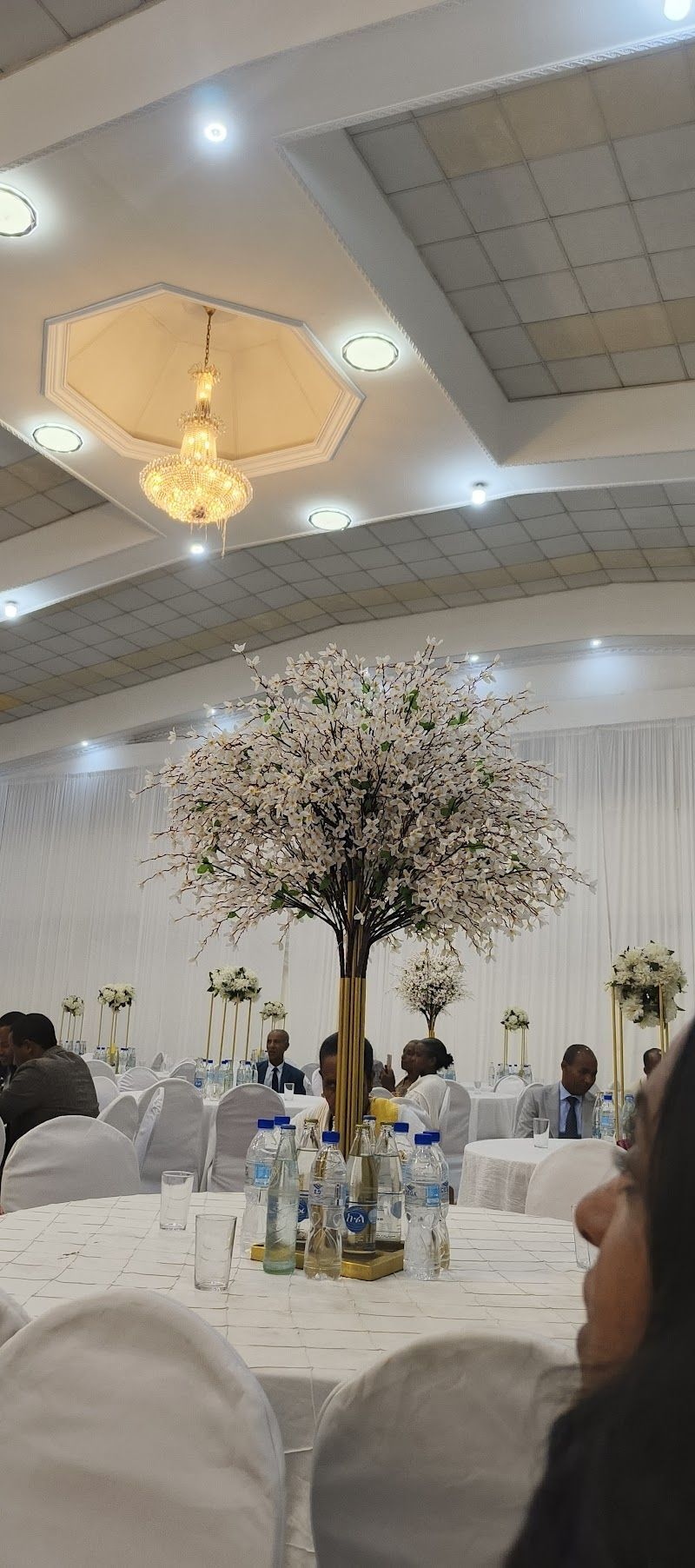 Anteneh All Purpose Hall | አንተነህ ሁለገብ አዳራሽ