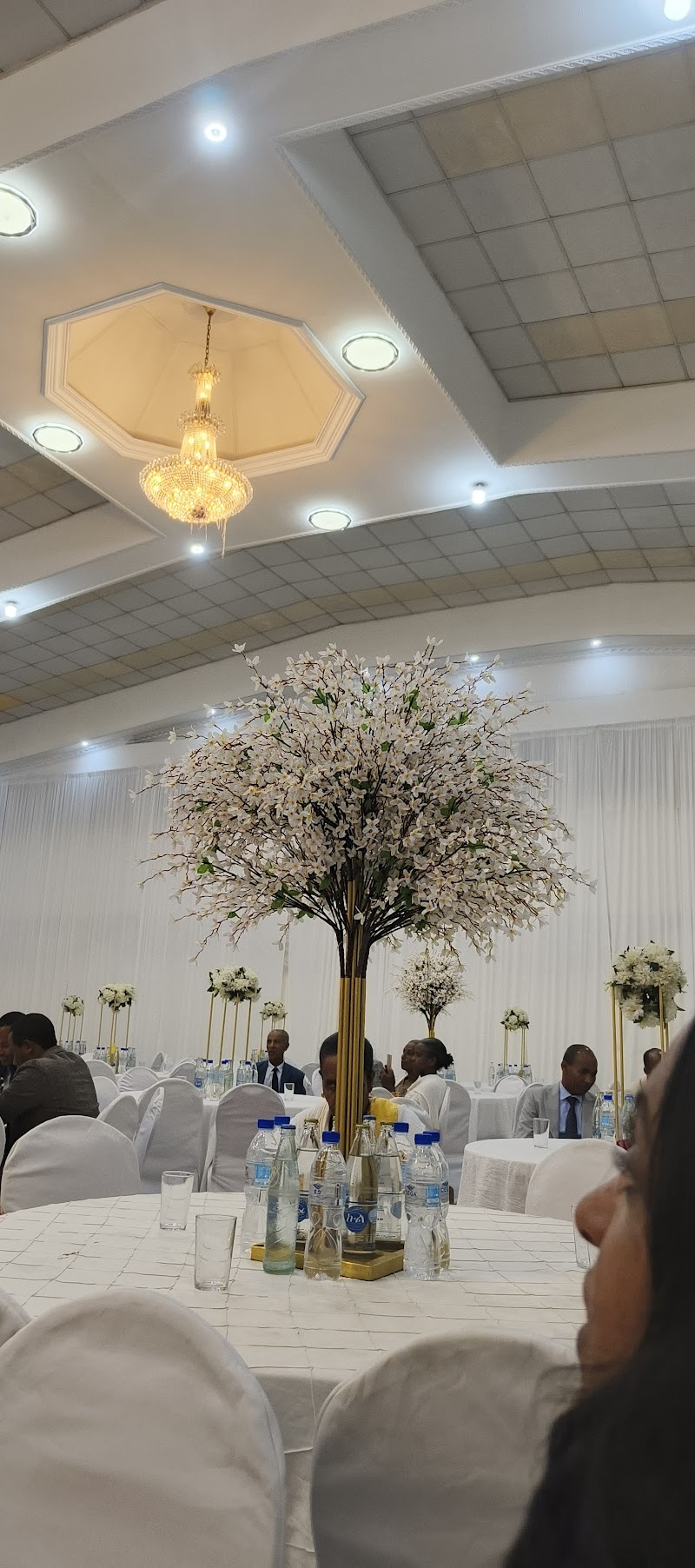 Anteneh All Purpose Hall | አንተነህ ሁለገብ አዳራሽ