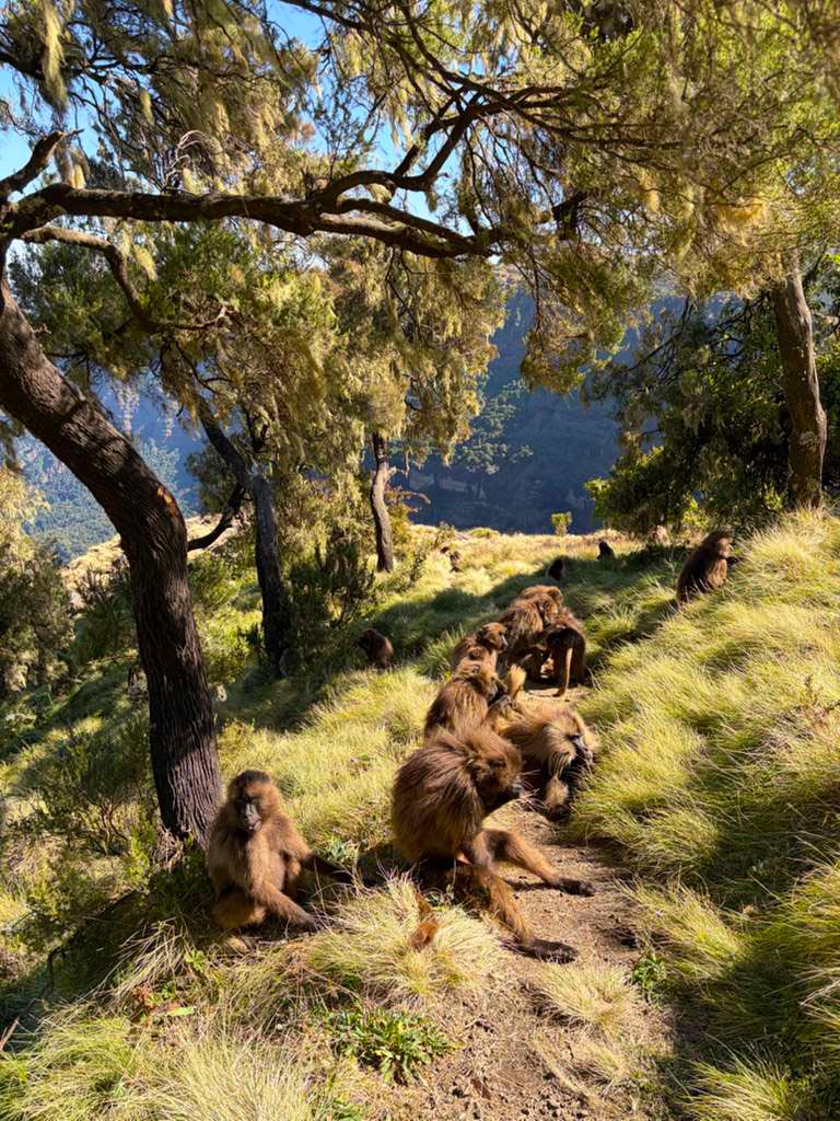 Hike Ethiopia