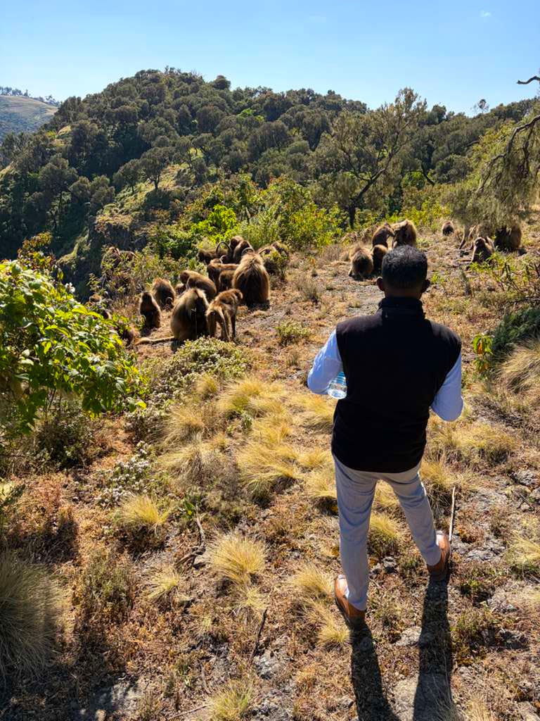 Hike Ethiopia